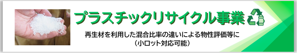 ���T�C�N������