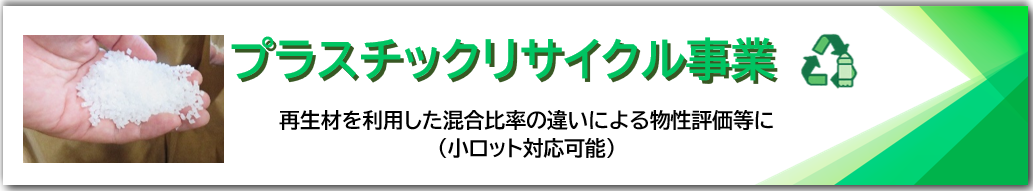 ���T�C�N������